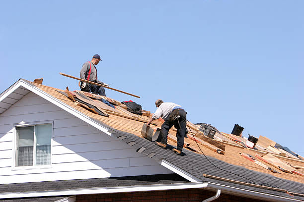Best Roof Maintenance and Cleaning  in Staunton, VA